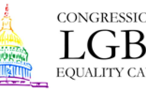 LGBT Caucus 