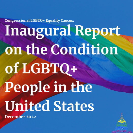 Inaugural Report  on the Condition of LGBTQ+ People in the United States